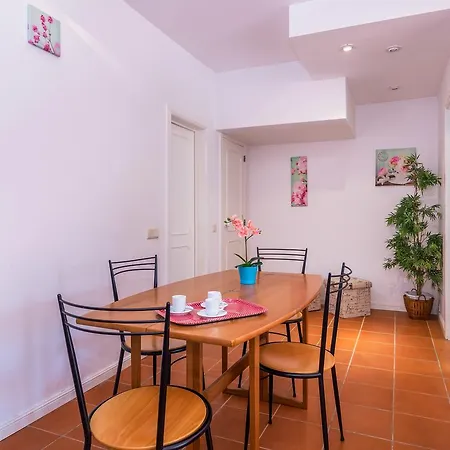 Falesia Apartment *